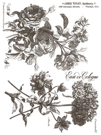 Floriography IOD Paint Inlay 12x16 Pad