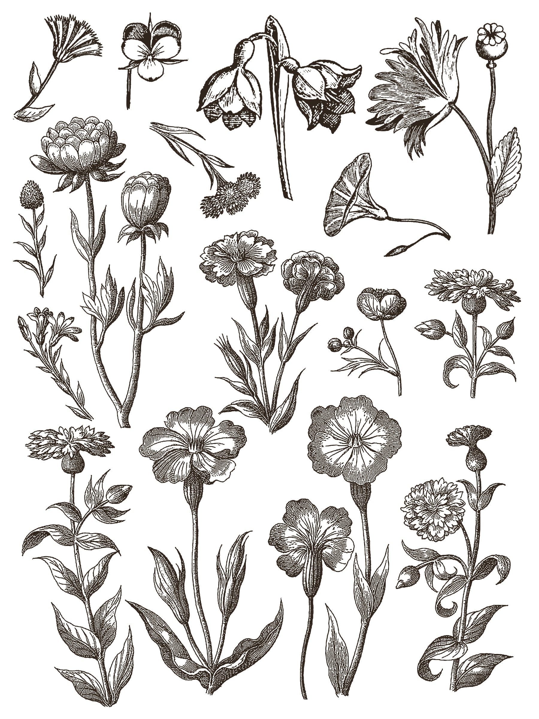 Floriography IOD Paint Inlay 12x16 Pad