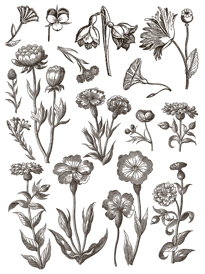 Floriography IOD Paint Inlay 12x16 Pad