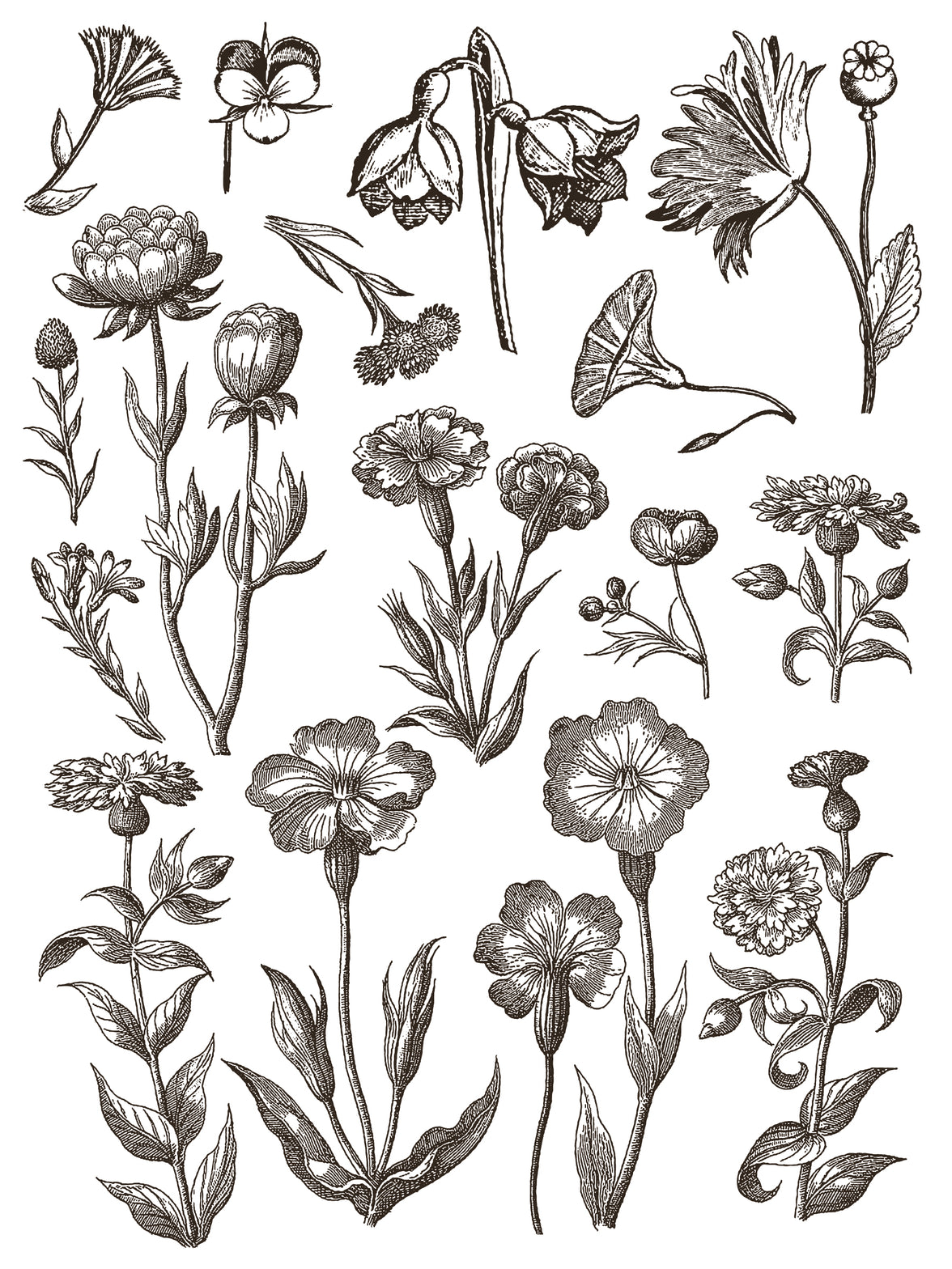 Floriography IOD Paint Inlay 12x16 Pad