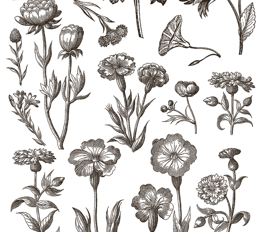 Floriography IOD Paint Inlay 12x16 Pad