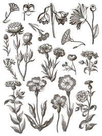 Floriography IOD Paint Inlay 12x16 Pad