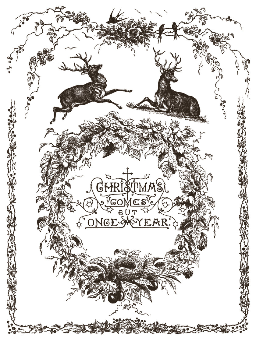 Twelfth Night IOD Paint Inlay 12x16 Pad