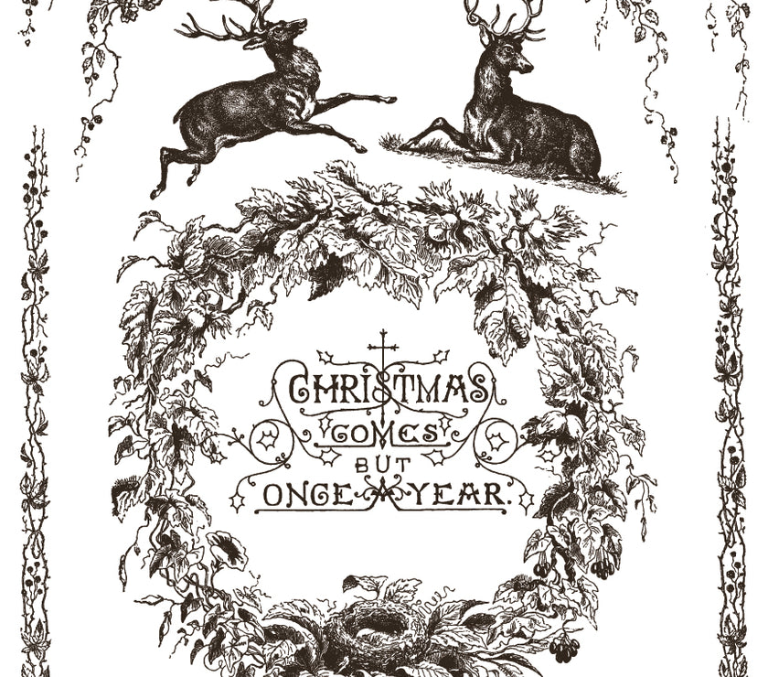 Twelfth Night IOD Paint Inlay 12x16 Pad