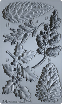 Winter Forage 6x10 IOD Mould