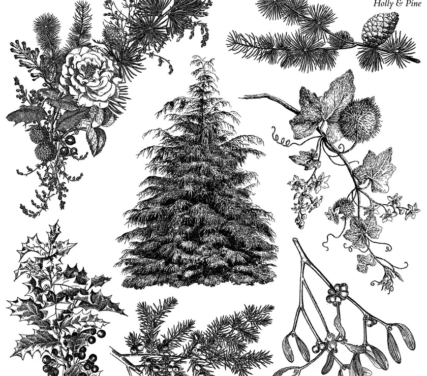 Holly & Pine 12x12 1OD Stamp