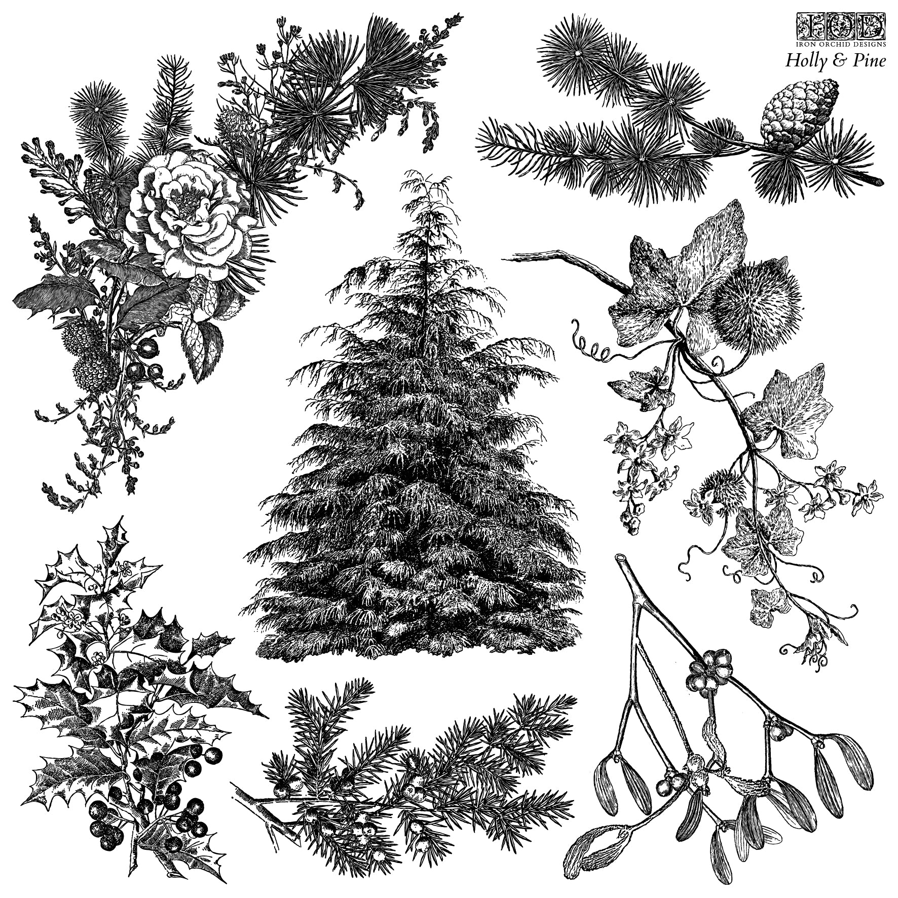 Holly & Pine 12x12 1OD Stamp