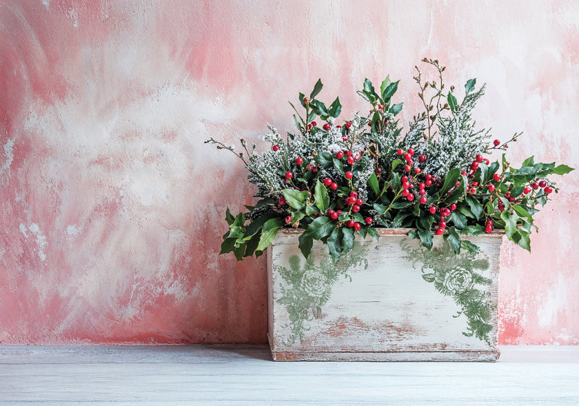 Holly & Pine 12x12 1OD Stamp