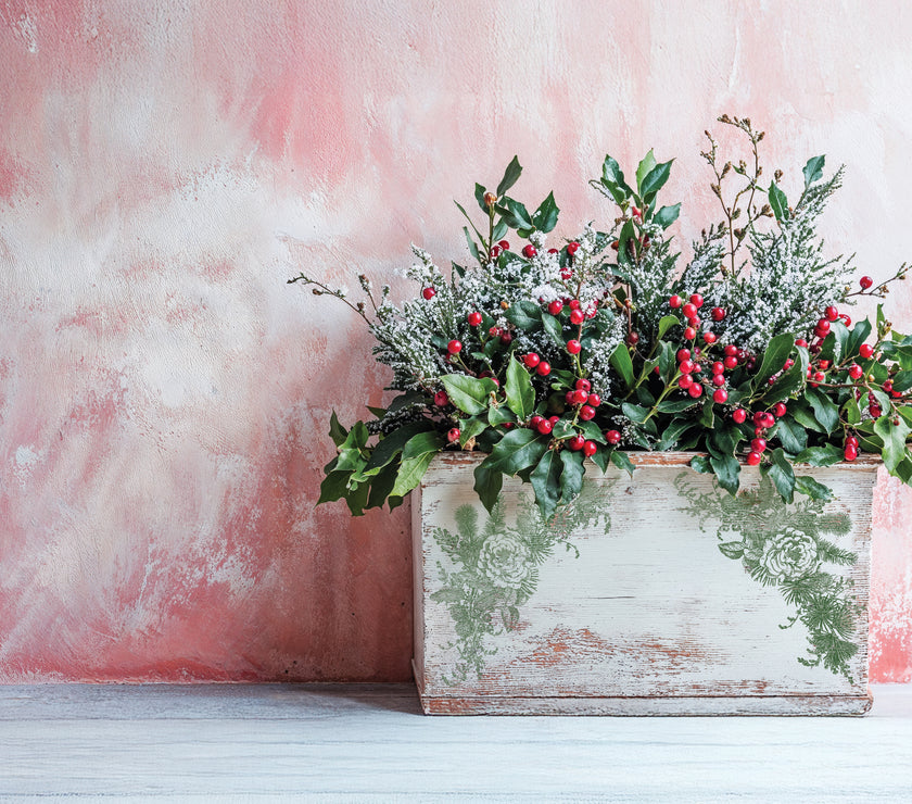 Holly & Pine 12x12 1OD Stamp