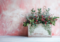 Holly & Pine 12x12 1OD Stamp