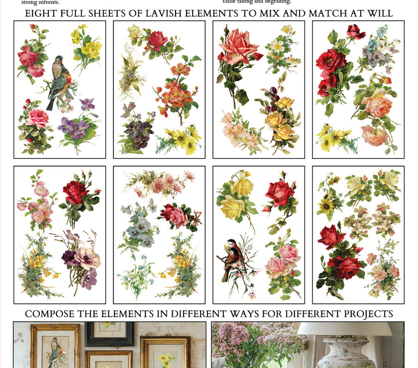 Catharina IOD Transfer