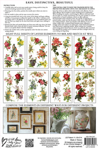 Catharina IOD Transfer