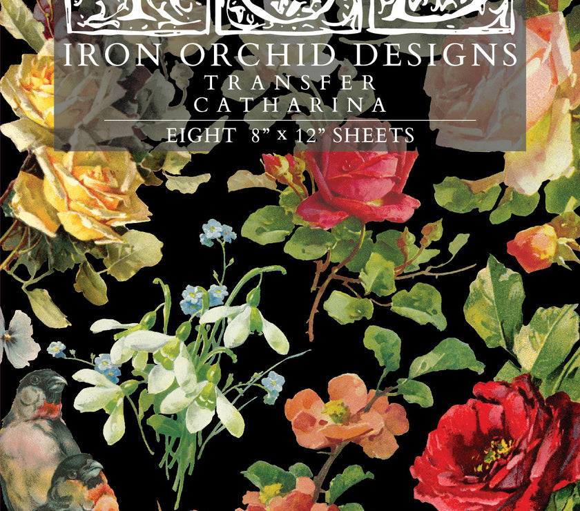 Catharina IOD Transfer