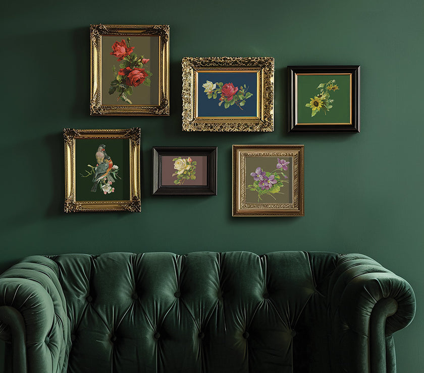 Catharina IOD Transfer