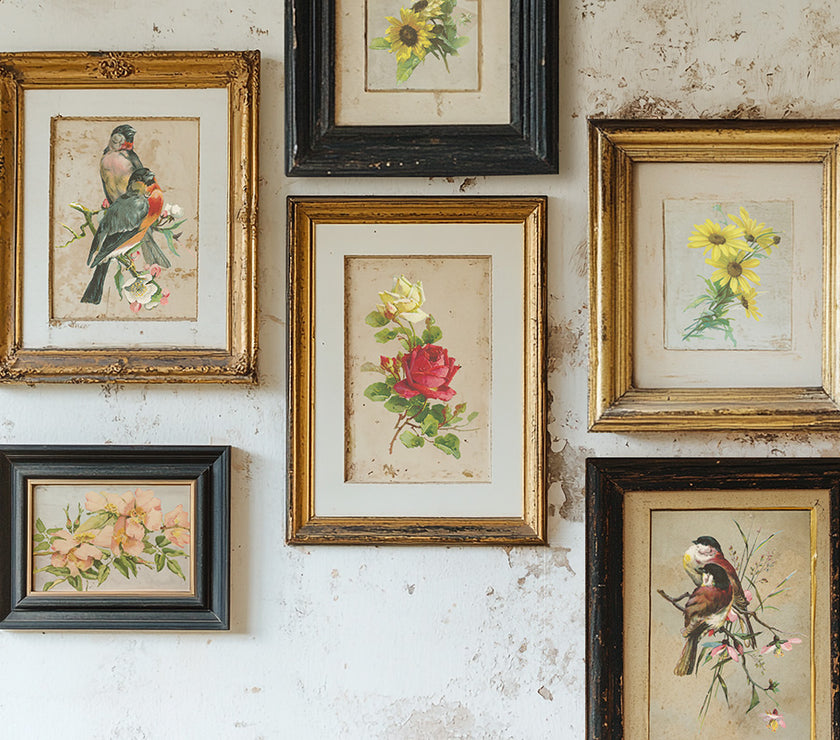 Catharina IOD Transfer