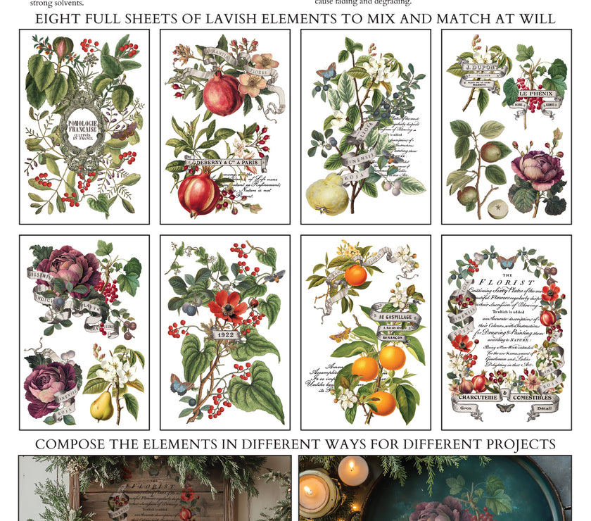 Clementine IOD Transfer 8x12 Pad