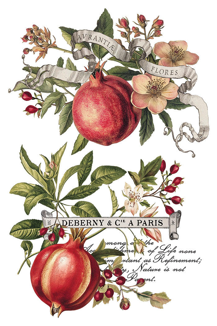 Clementine IOD Transfer 8x12 Pad