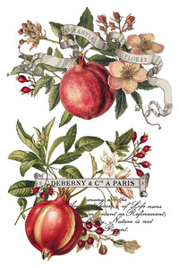 Clementine IOD Transfer 8x12 Pad