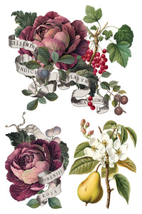 Clementine IOD Transfer 8x12 Pad