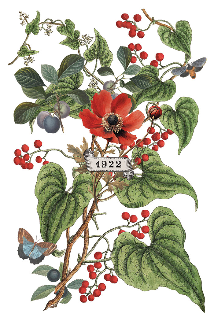 Clementine IOD Transfer 8x12 Pad