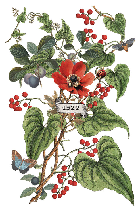 Clementine IOD Transfer 8x12 Pad