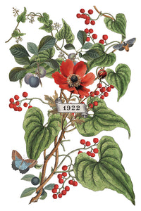 Clementine IOD Transfer 8x12 Pad