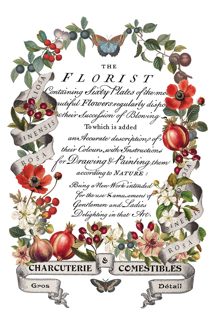 Clementine IOD Transfer 8x12 Pad