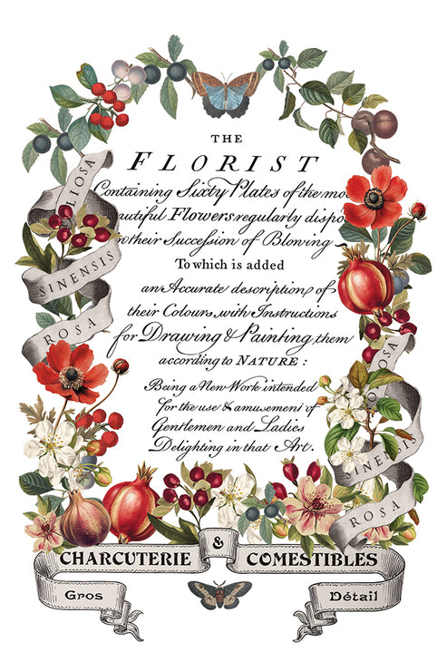 Clementine IOD Transfer 8x12 Pad