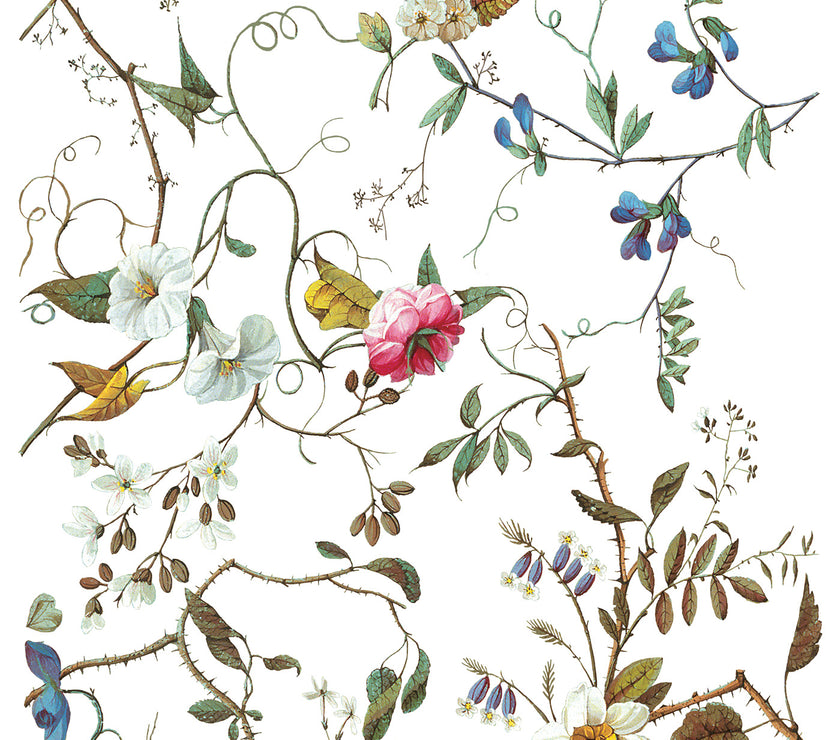 Lost Garden IOD Transfer