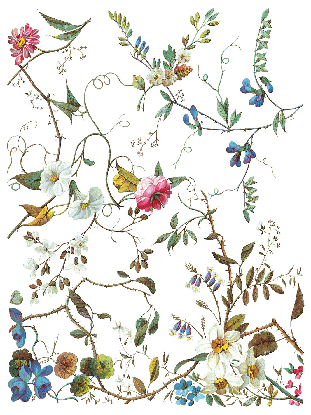 Lost Garden IOD Transfer 12x16