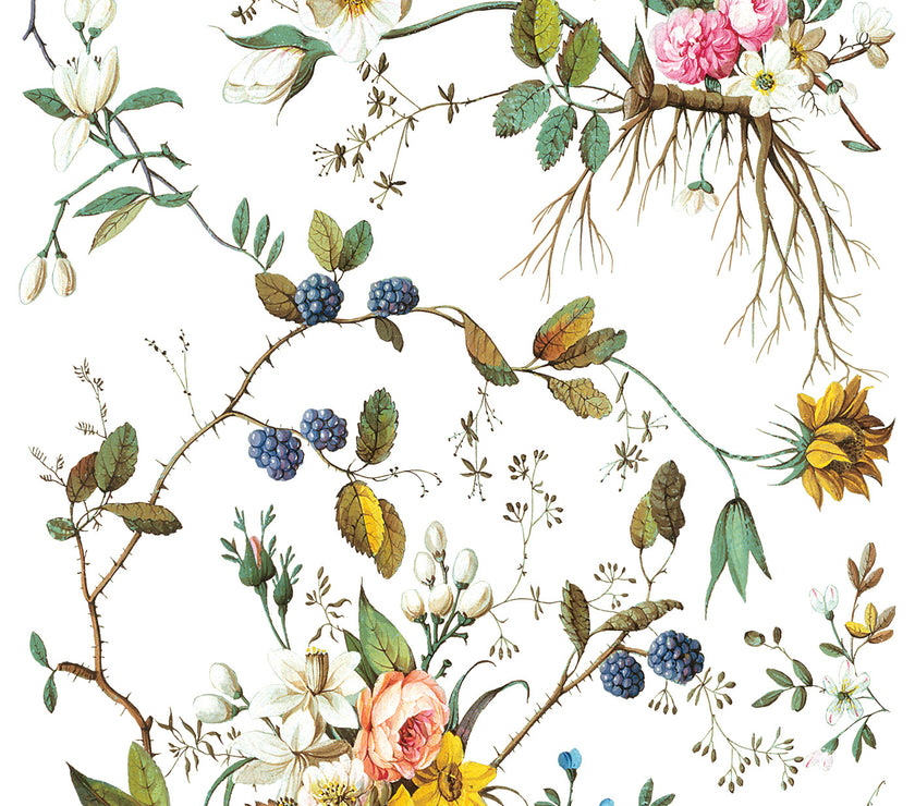 Lost Garden IOD Transfer