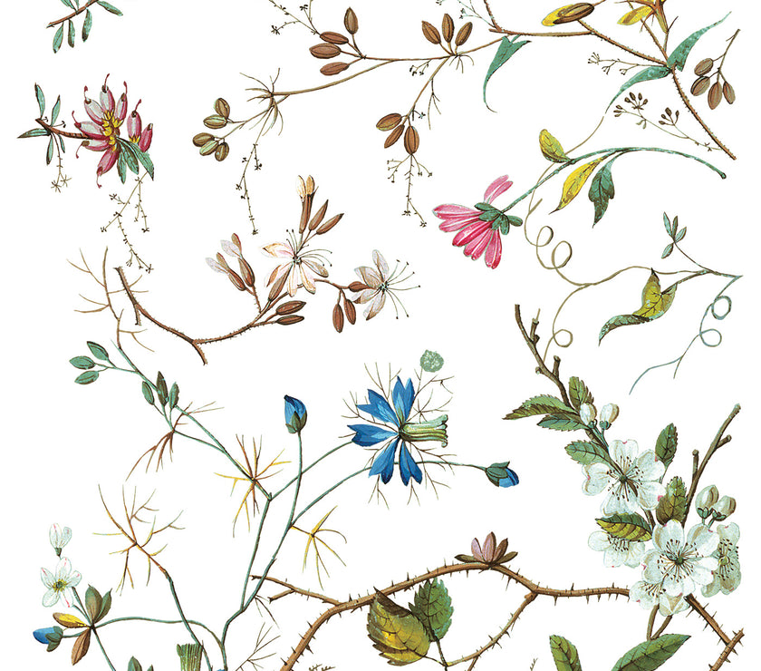 Lost Garden IOD Transfer