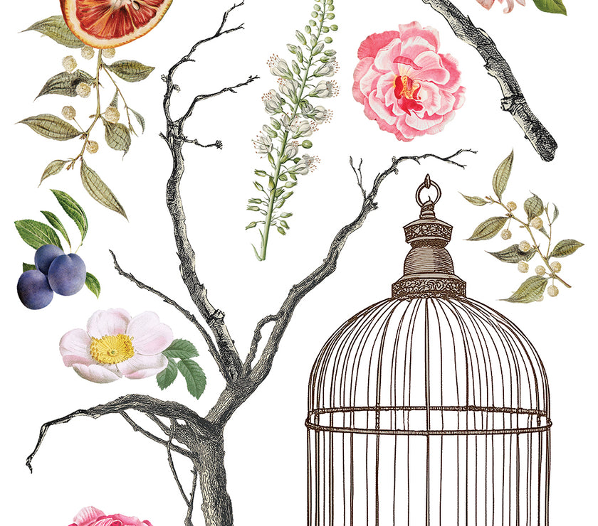 Menagerie IOD Transfer 12x16 Pad