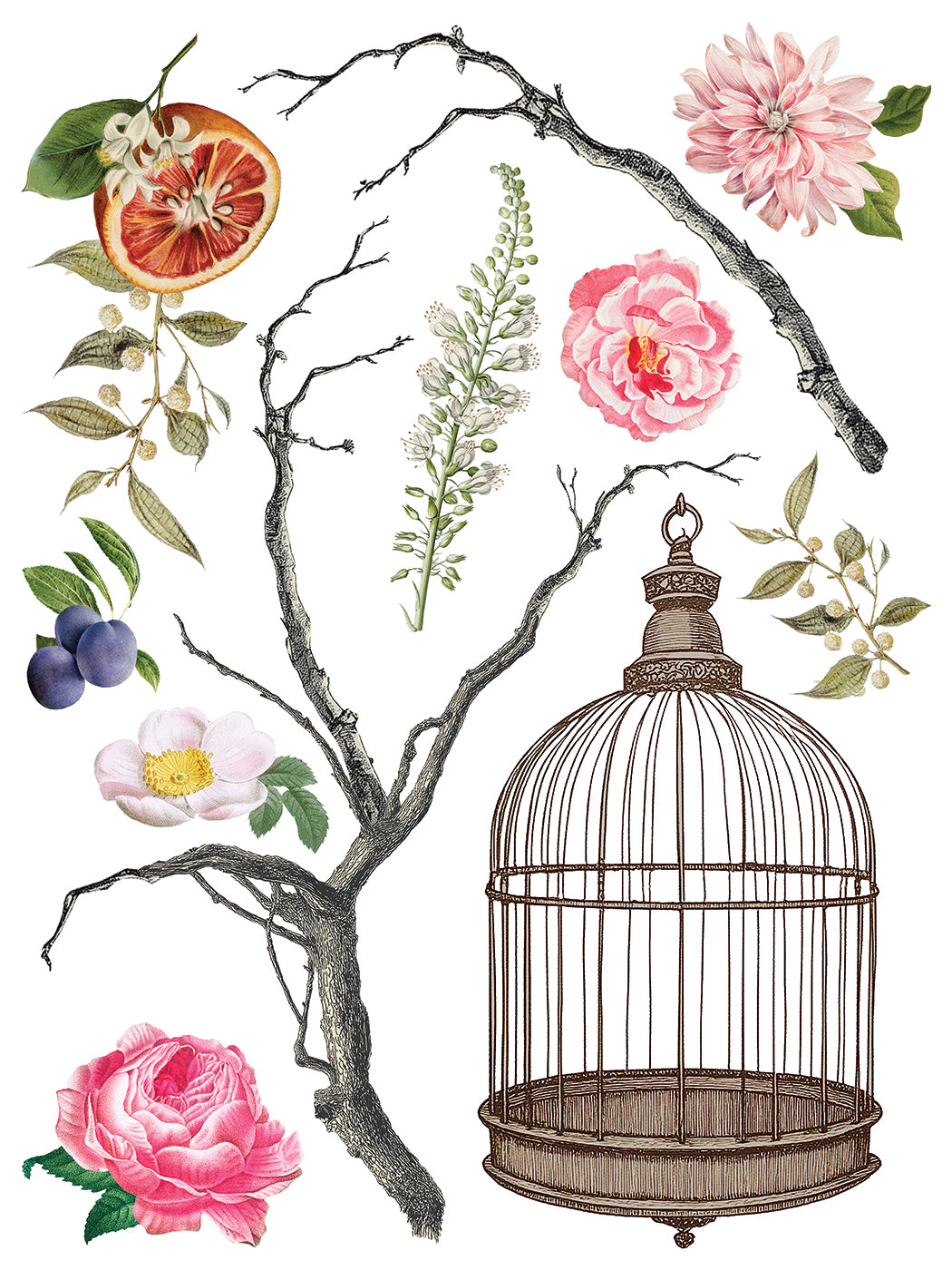 Menagerie IOD Transfer 12x16 Pad