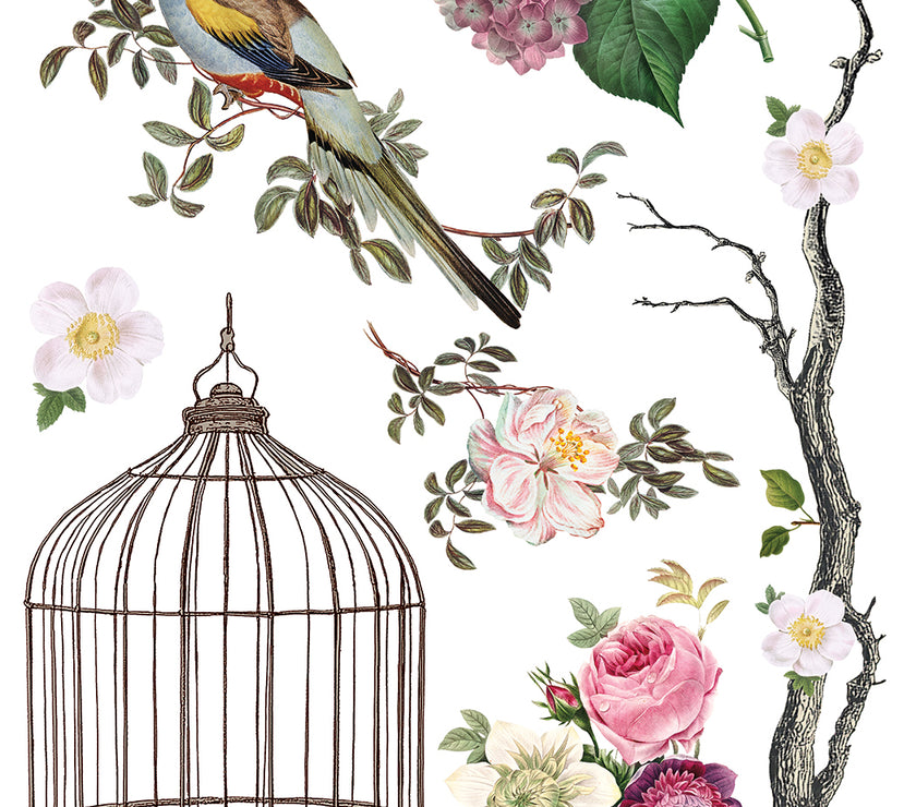 Menagerie IOD Transfer 12x16 Pad