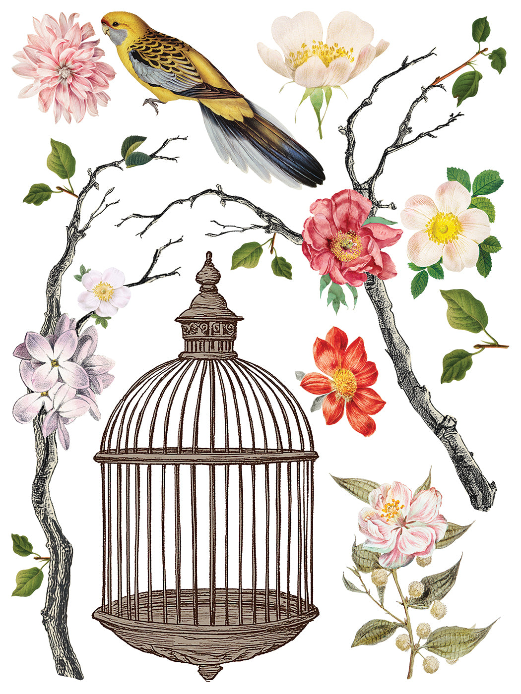 Menagerie IOD Transfer 12x16 Pad