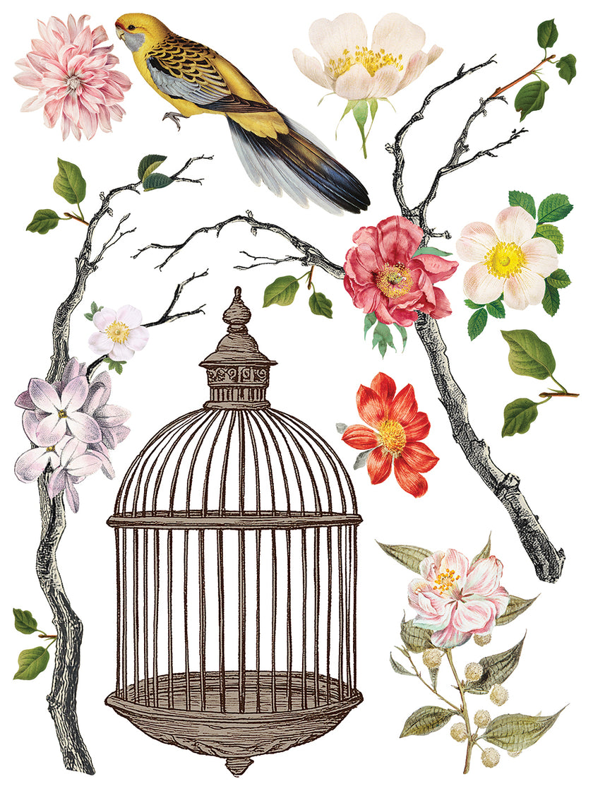 Menagerie IOD Transfer 12x16 Pad