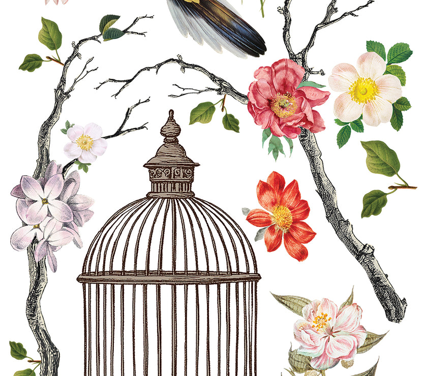 Menagerie IOD Transfer 12x16 Pad