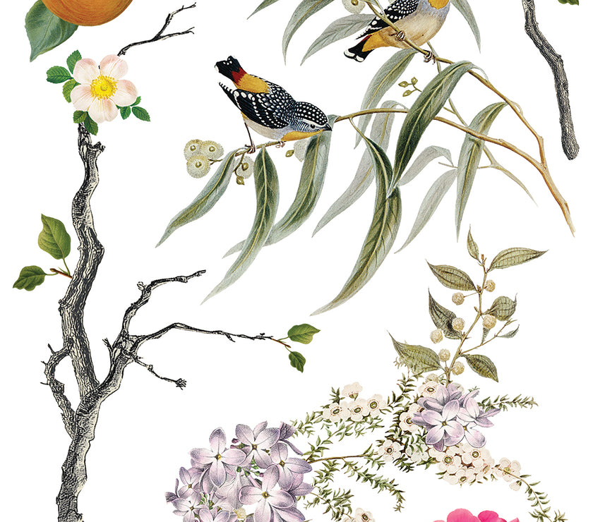 Menagerie IOD Transfer 12x16 Pad