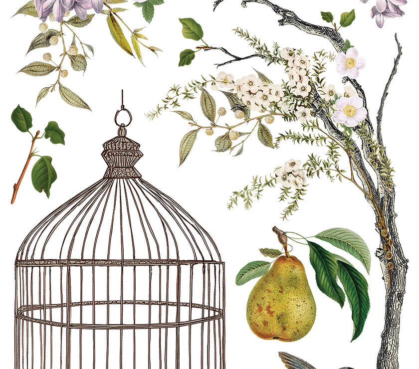 Menagerie IOD Transfer 12x16 Pad