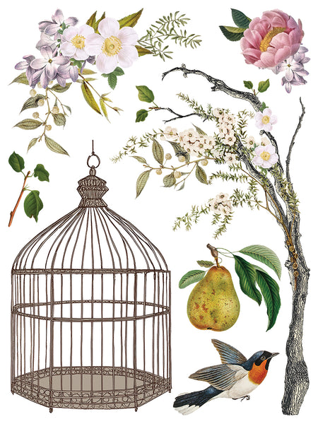 Menagerie IOD Transfer 12x16 Pad