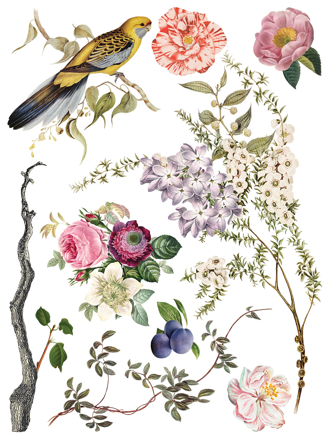 Menagerie IOD Transfer 12x16 Pad