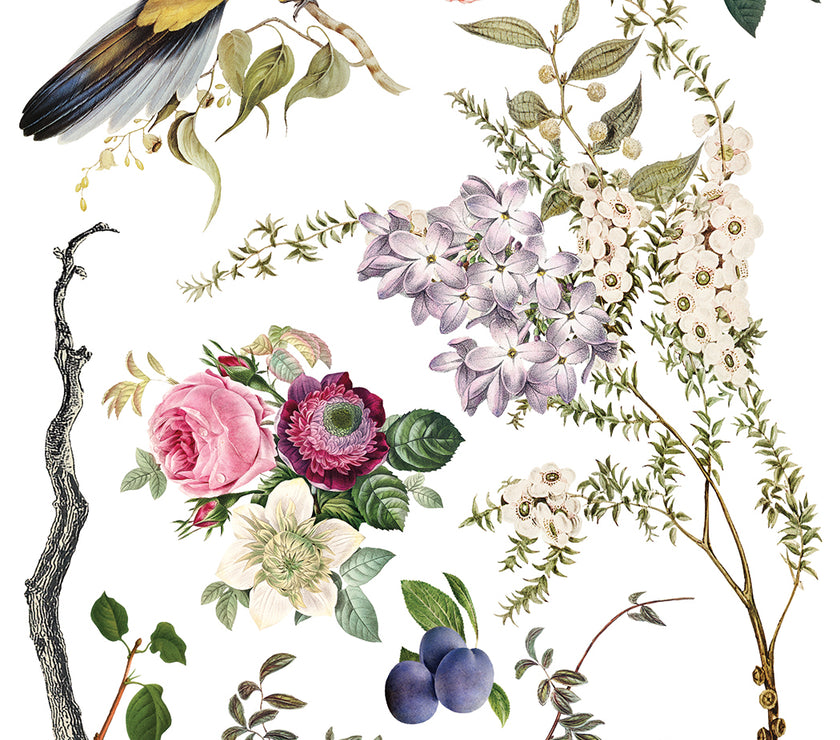 Menagerie IOD Transfer 12x16 Pad