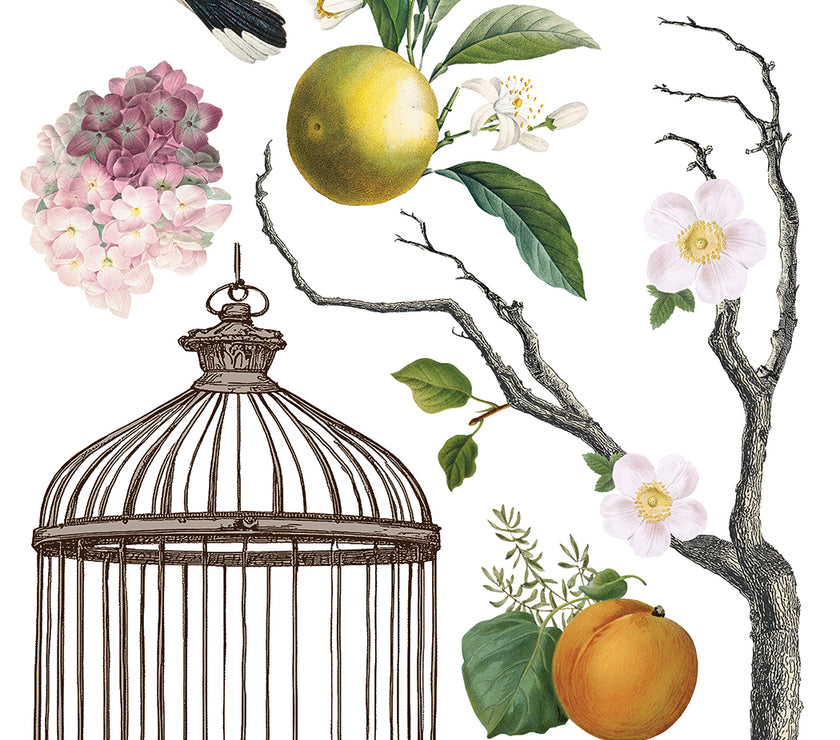 Menagerie IOD Transfer 12x16 Pad