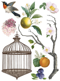 Menagerie IOD Transfer 12x16 Pad