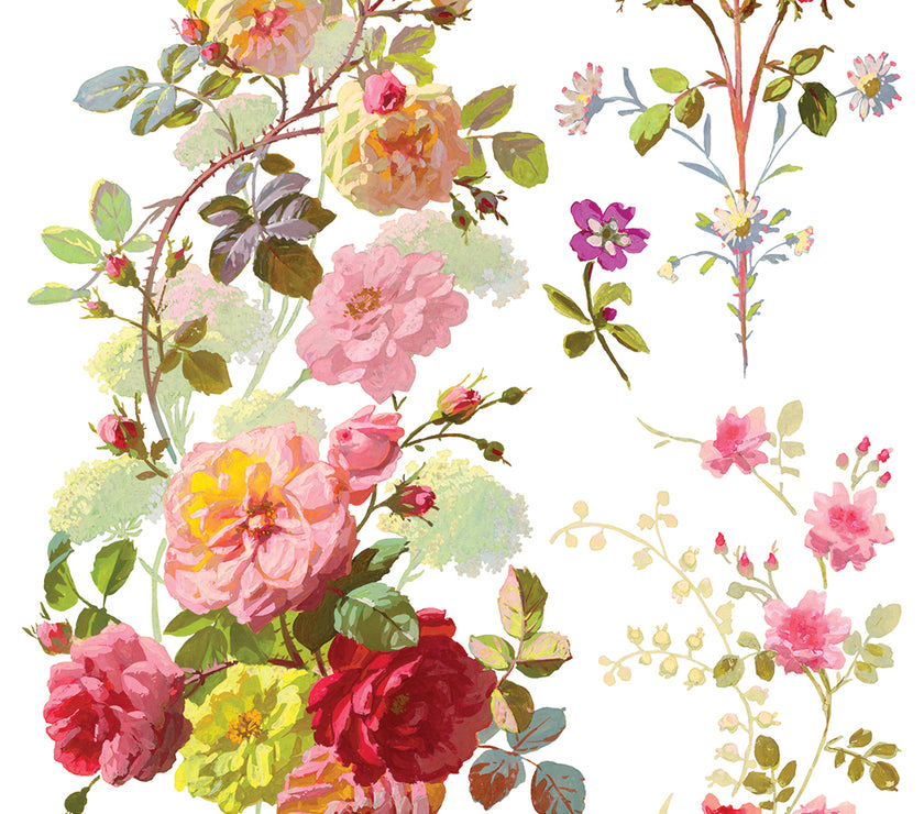 Saint Germain IOD Transfer 12x16 Pad