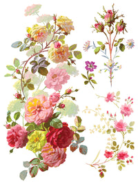 Saint Germain IOD Transfer 12x16 Pad