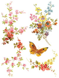 Saint Germain IOD Transfer 12x16 Pad