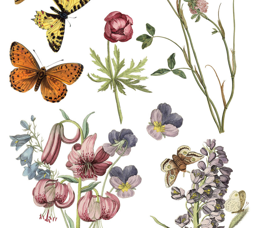 Wilde Bloemen IOD Transfer