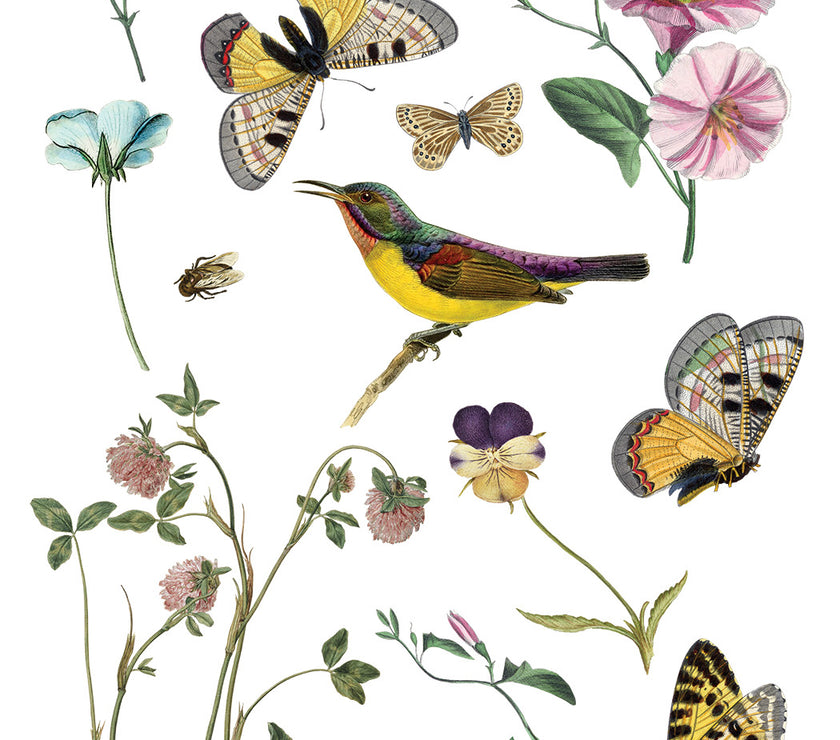 Wilde Bloemen IOD Transfer